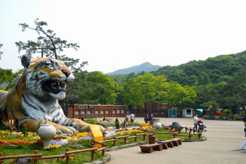 1581259924 540 أفضل معالم السياحة في كوريا الجنوبية سيول - The best sights in South Korea, Seoul
