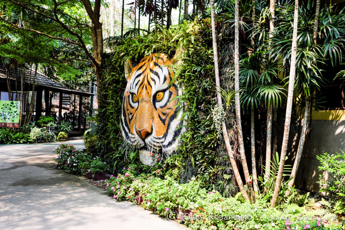 1581260239 482 أفضل المعالم السياحية في بوكيت تايلاند - The best sights in Phuket Thailand