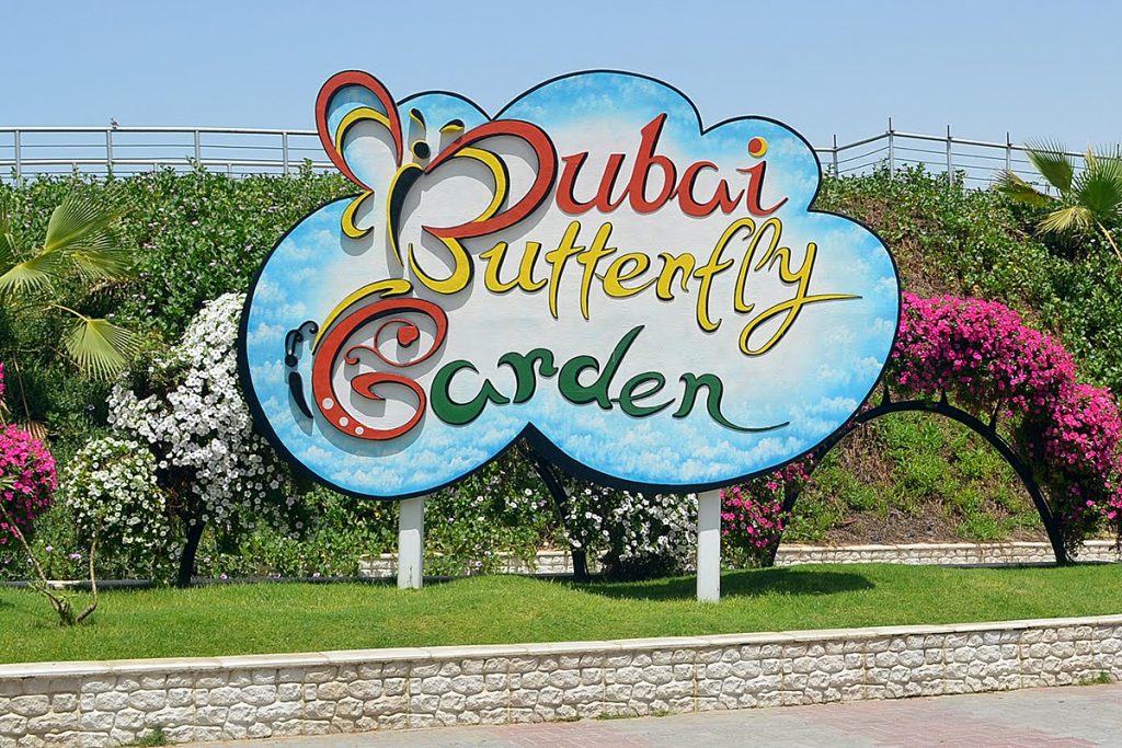 1581262542 101 Dubai Butterfly Garden opens its doors to everyone - Dubai Butterfly Garden opens its doors to everyone