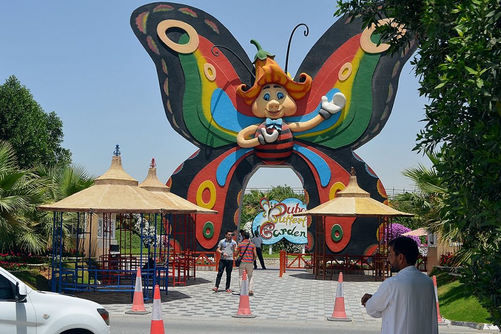 1581262542 485 Dubai Butterfly Garden opens its doors to everyone - Dubai Butterfly Garden opens its doors to everyone