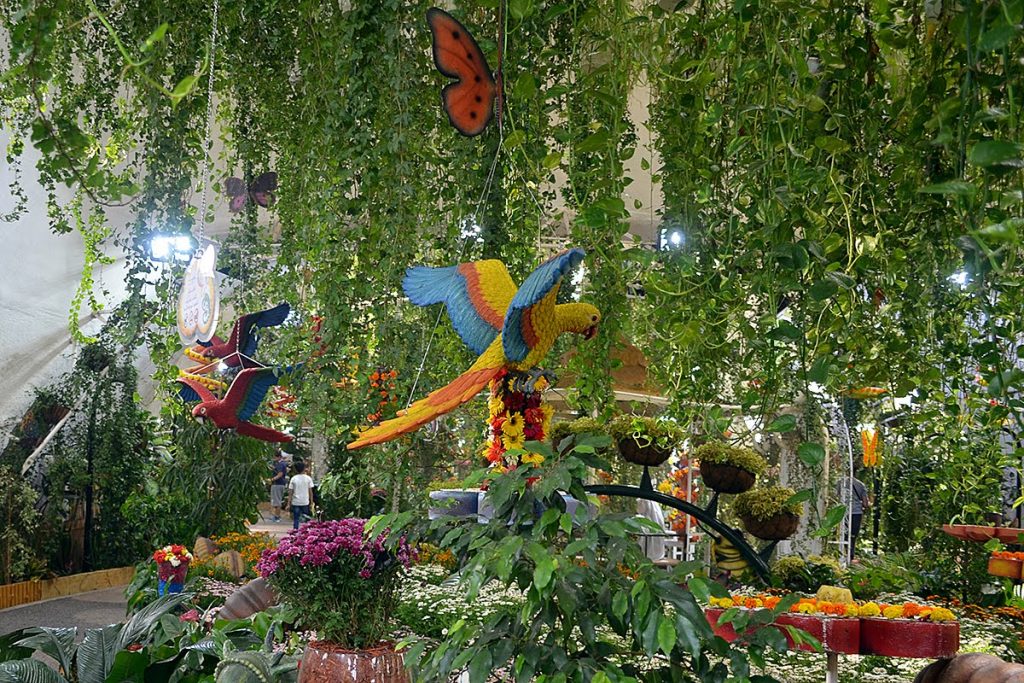 1581262542 918 Dubai Butterfly Garden opens its doors to everyone - Dubai Butterfly Garden opens its doors to everyone