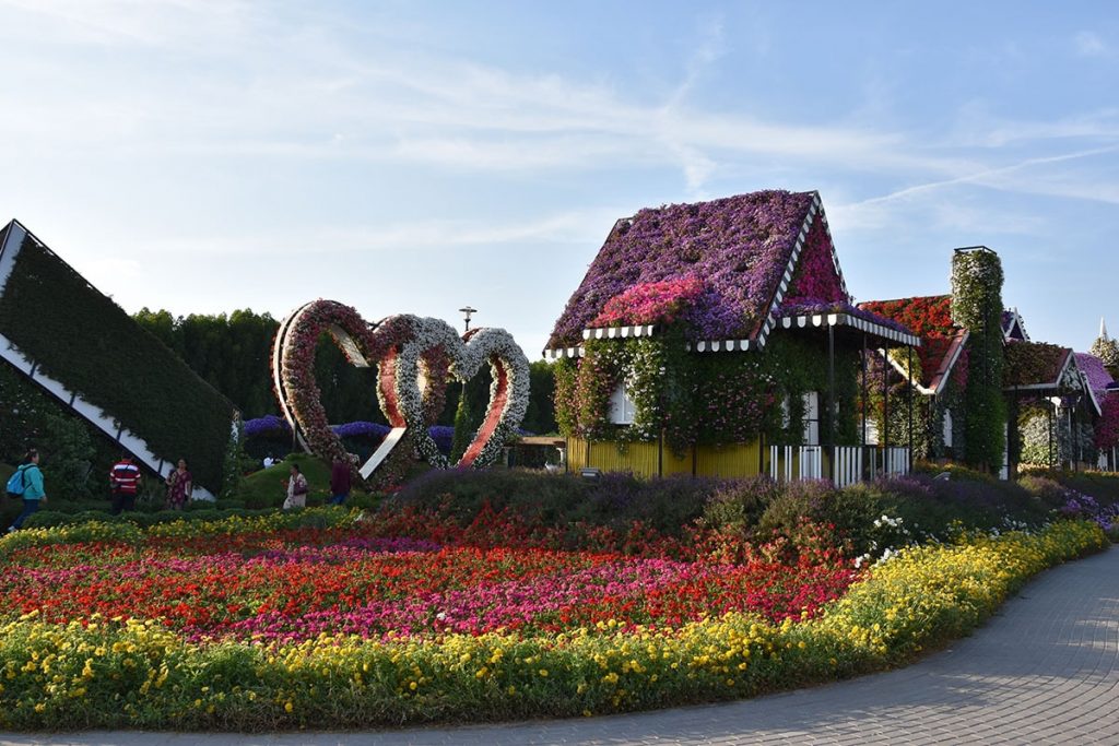 1581263319 187 Information about the miracle garden in Dubai in pictures - Information about the miracle garden in Dubai in pictures