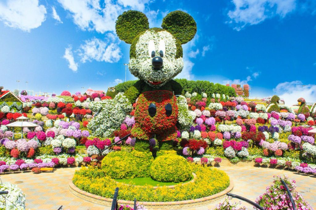 1581263319 204 Information about the miracle garden in Dubai in pictures - Information about the miracle garden in Dubai in pictures