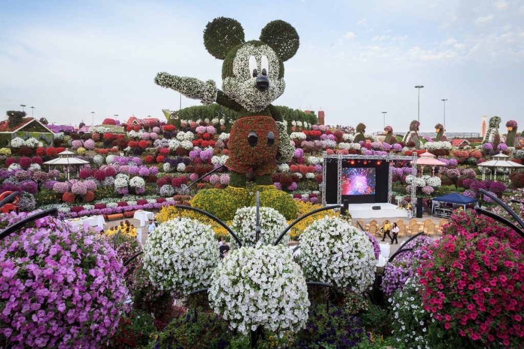 1581263319 233 Information about the miracle garden in Dubai in pictures - Information about the miracle garden in Dubai in pictures
