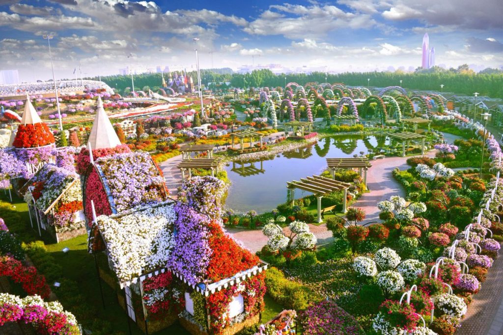 1581263319 260 Information about the miracle garden in Dubai in pictures - Information about the miracle garden in Dubai in pictures