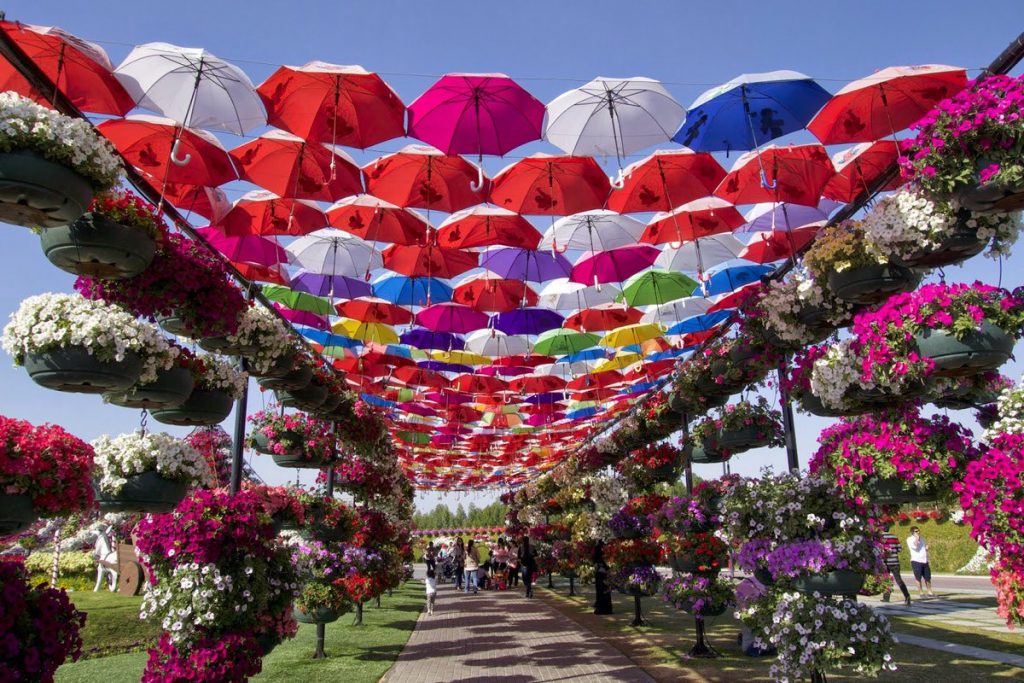 1581263319 310 Information about the miracle garden in Dubai in pictures - Information about the miracle garden in Dubai in pictures
