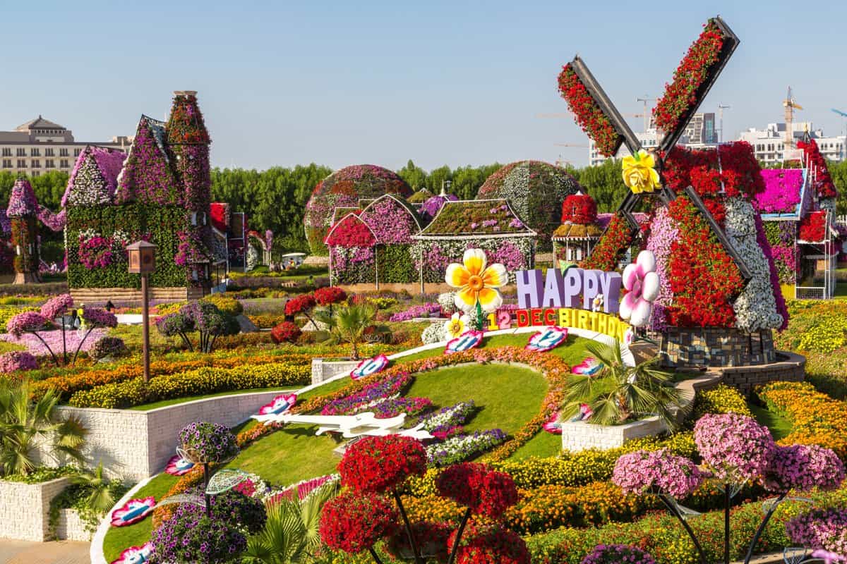 1581263319 371 Information about the miracle garden in Dubai in pictures - Information about the miracle garden in Dubai in pictures