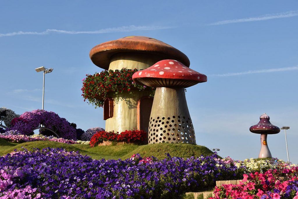1581263319 386 Information about the miracle garden in Dubai in pictures - Information about the miracle garden in Dubai in pictures
