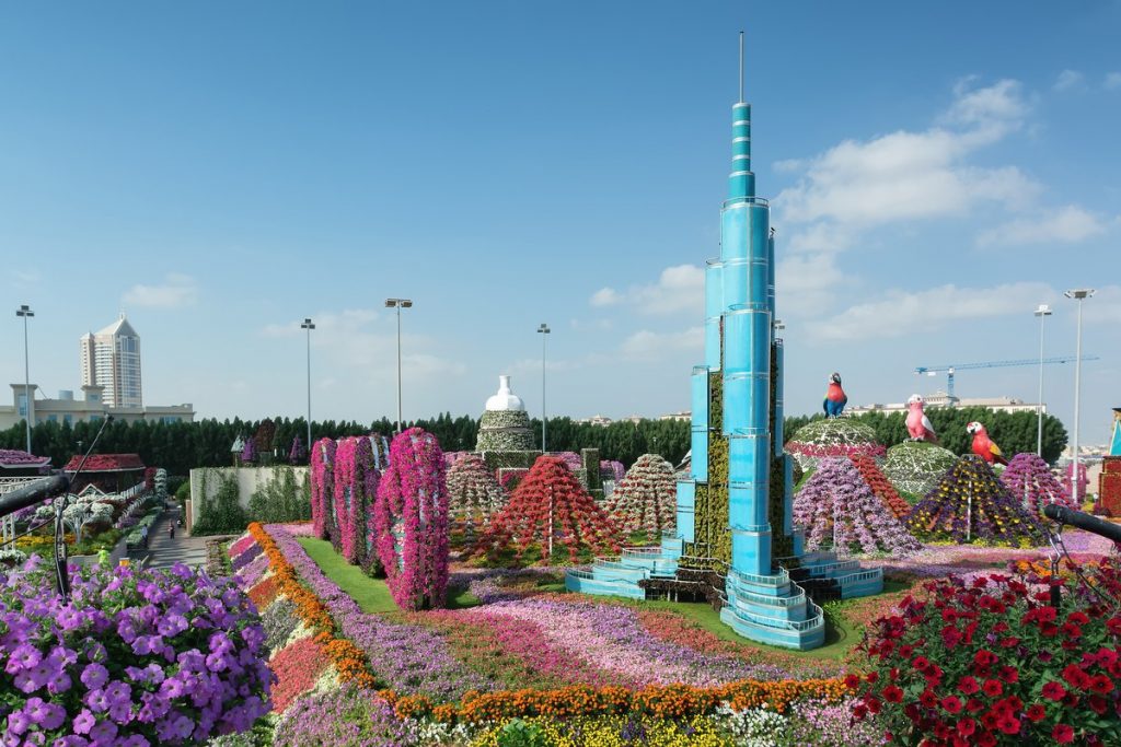1581263319 501 Information about the miracle garden in Dubai in pictures - Information about the miracle garden in Dubai in pictures