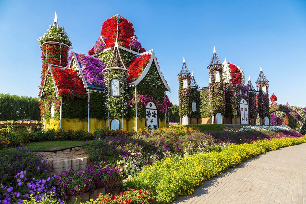 1581263319 593 Information about the miracle garden in Dubai in pictures - Information about the miracle garden in Dubai in pictures
