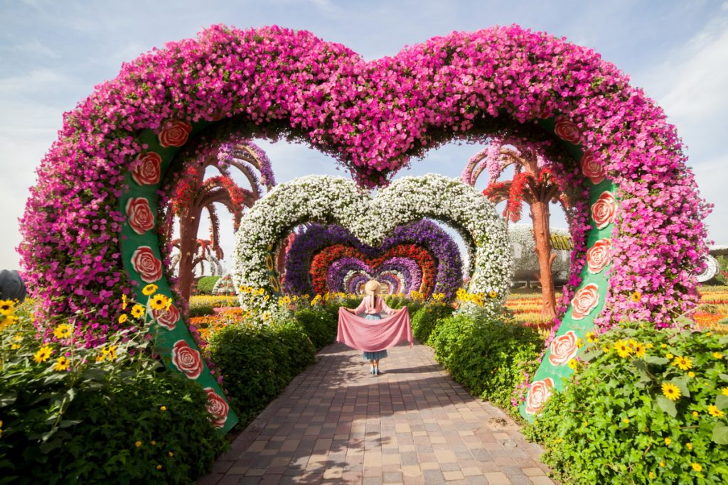 1581263319 630 Information about the miracle garden in Dubai in pictures - Information about the miracle garden in Dubai in pictures