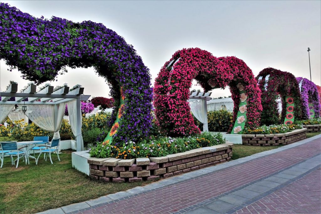 1581263319 766 Information about the miracle garden in Dubai in pictures - Information about the miracle garden in Dubai in pictures