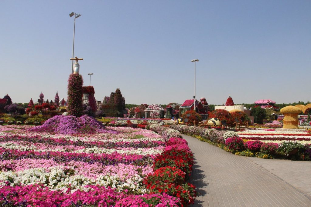 1581263319 934 Information about the miracle garden in Dubai in pictures - Information about the miracle garden in Dubai in pictures