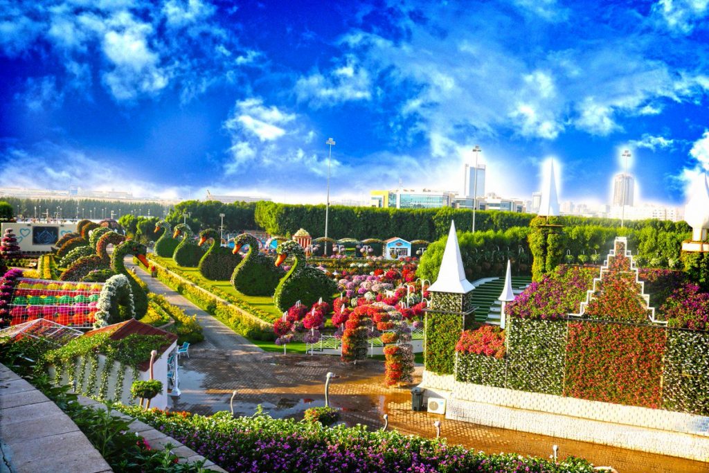 1581263319 998 Information about the miracle garden in Dubai in pictures - Information about the miracle garden in Dubai in pictures