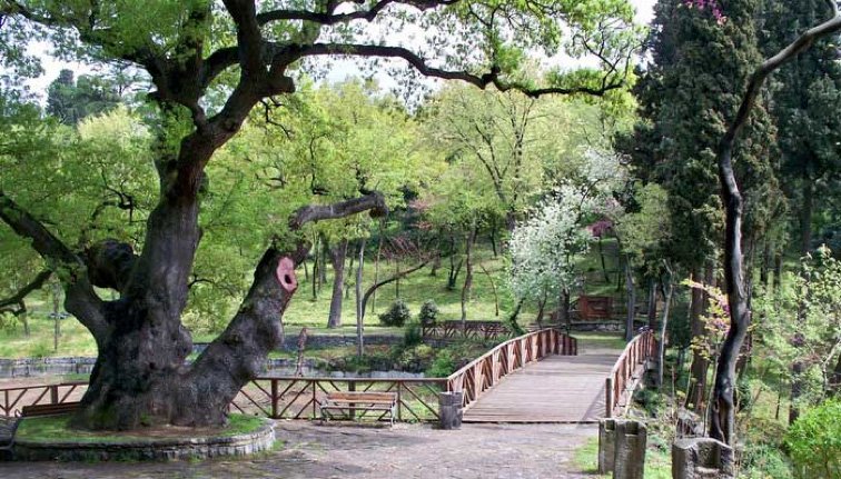 1581267197 705 Yildiz Park .. the most beautiful in Istanbul - Yildiz Park .. the most beautiful in Istanbul