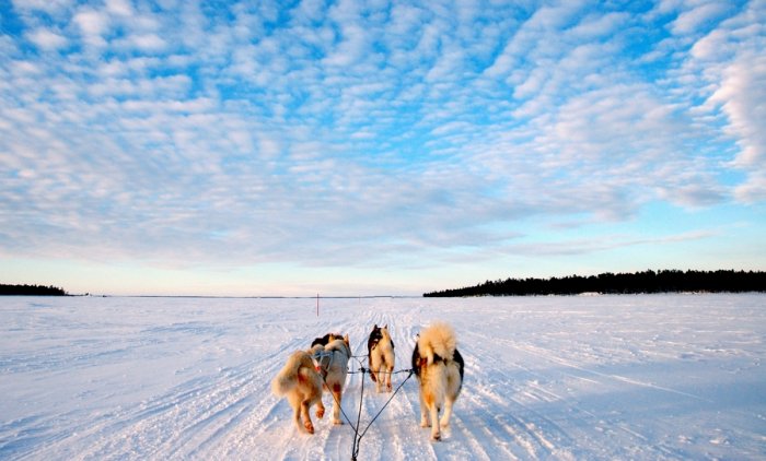 Visit the province of Labi in Finland in the winter season