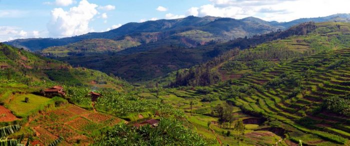 Rwanda, or the land of a thousand hills, as it is called, is known as the ideal tourist destination for those who wish to explore wildlife