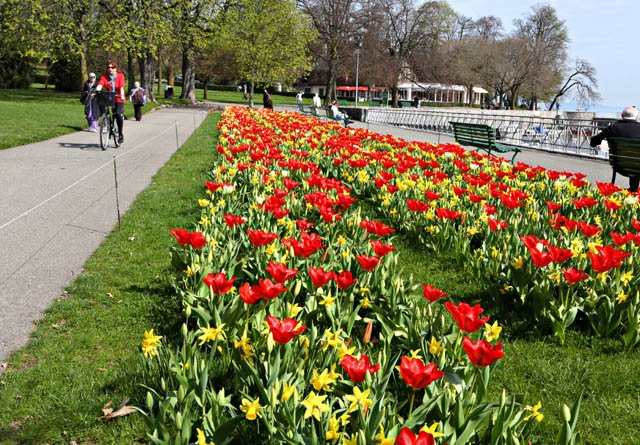 She won the Best Recreation City in Europe award 