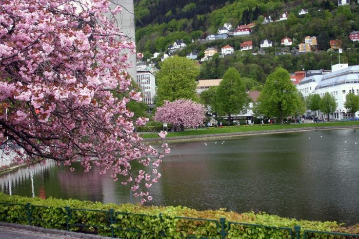 1581267750 435 A holiday in the charming nature of Bergen - A holiday in the charming nature of Bergen