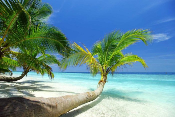 Jamaica is a tourist island, an impressive mixture of sand, sunshine, and beautiful music
