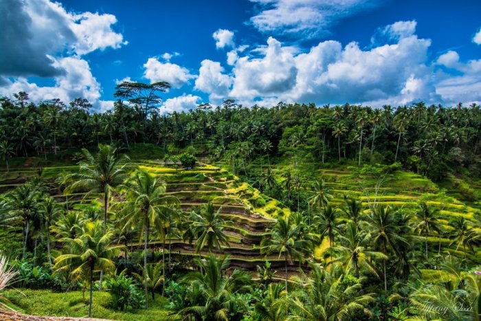 1581267820 3 A pleasant trip on the island of Bali with the - A pleasant trip on the island of Bali with the most charming landmarks