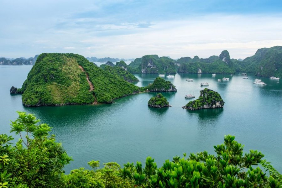 From Halong Bay