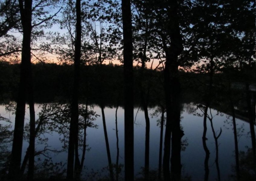 Berrien Springs Island - Michigan