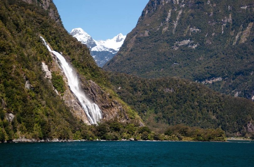 From the charm of Fiordland