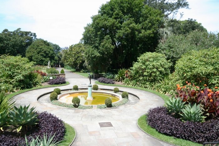 Sydney Botanical Garden