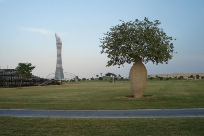 Aspire Park