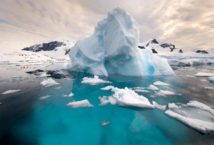 Charming sights in Antarctica