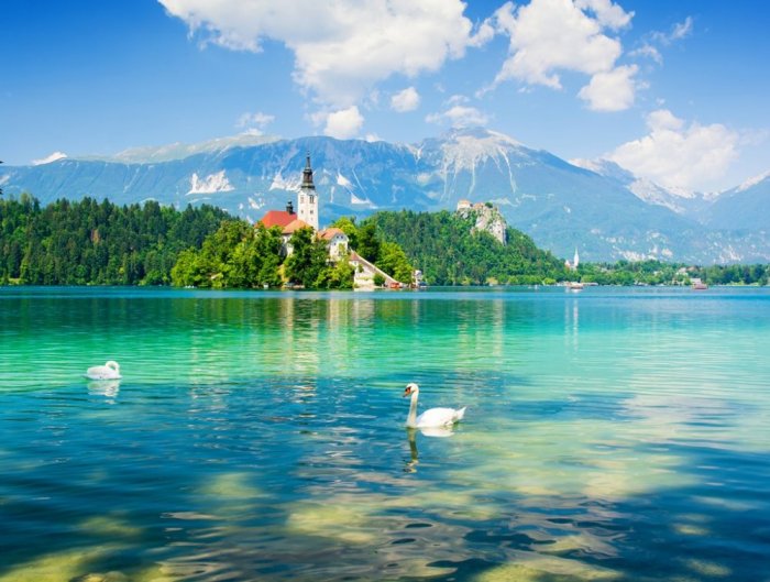 Magic of Nature in Bled