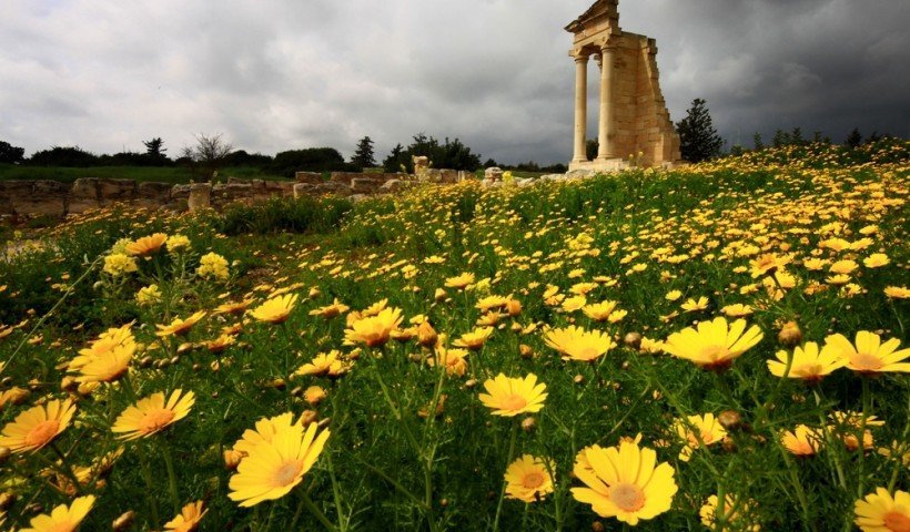 Spring flowers open in Cyprus