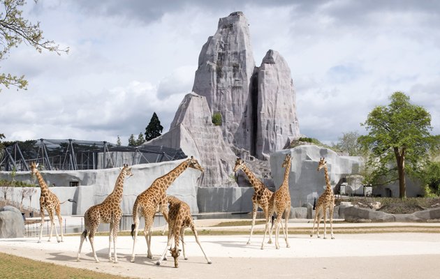 Paris Zoo