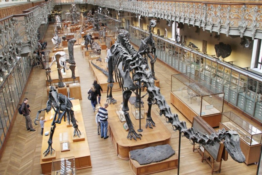 Paris Natural History Museum