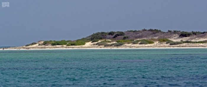 Clear sand on the Saudi island of Marka