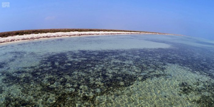 Pure water in the Saudi Al-Barak Islands