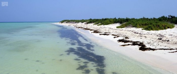 The Saudi Al-Barak Islands consist of the islands of Hasr, Muqtat, Marka, Qattoua, Jabal Dhahban, Umm Al-Qasha '