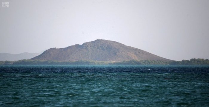 A distant view of the islands of ponds 