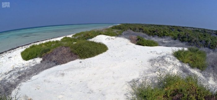 The white sand makes Baraka Islands a magical spot.