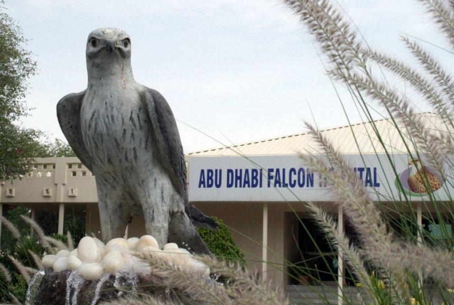 Tour of the Abu Dhabi Falcon Hospital
