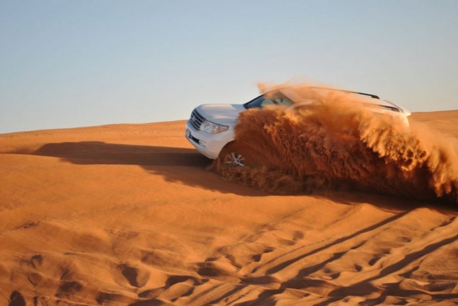 Safari trip in Abu Dhabi desert