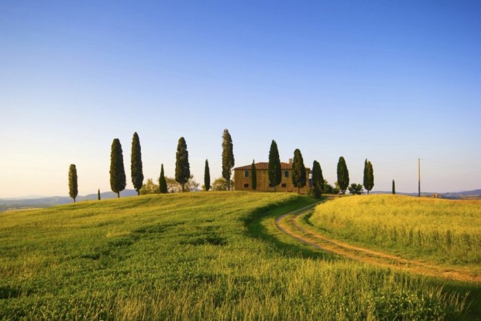 Tuscany during the spring