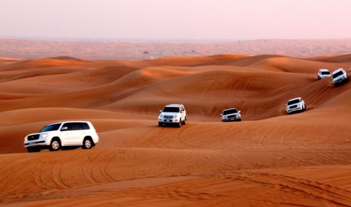 Going on a safari in the Abu Dhabi desert