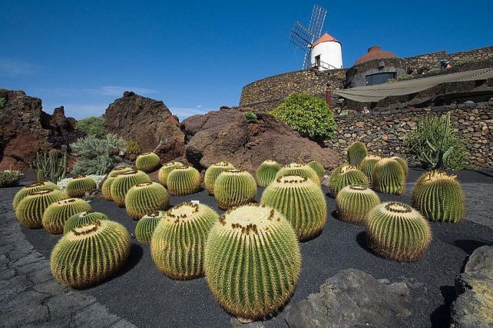 A view from the Cactus Garden in Lanzarote
