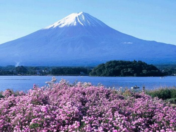 1581270902 845 Tourism in Mount Fuji is fun for adventure enthusiasts - Tourism in Mount Fuji is fun for adventure enthusiasts