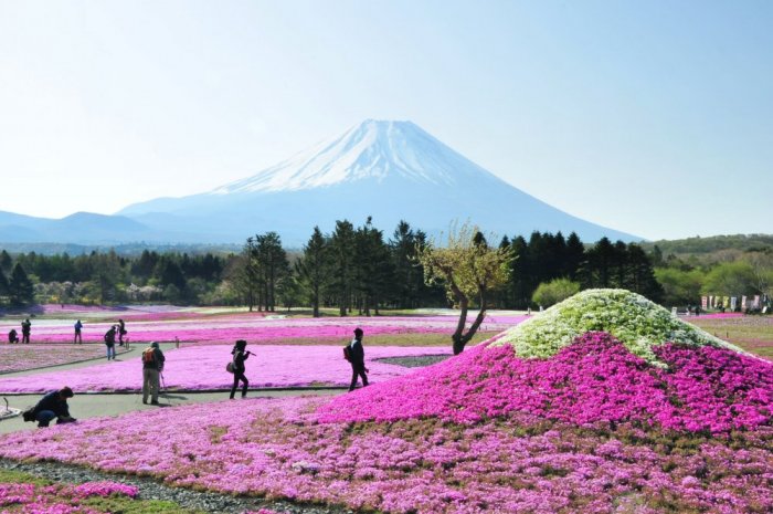 1581270902 907 Tourism in Mount Fuji is fun for adventure enthusiasts - Tourism in Mount Fuji is fun for adventure enthusiasts
