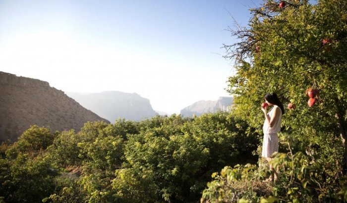1581271022 913 Green Mountain in the Sultanate of Oman - Green Mountain in the Sultanate of Oman