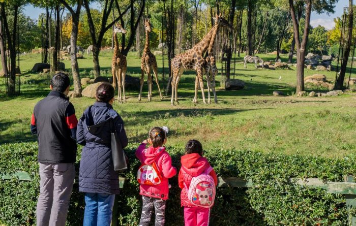 Zoo in Bursa