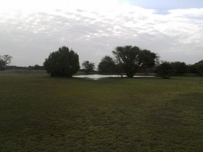 Al Jarrah Park in Abha